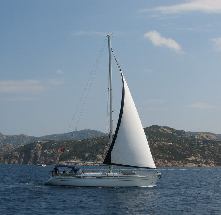 12. Willi and Co nous ont rejoints