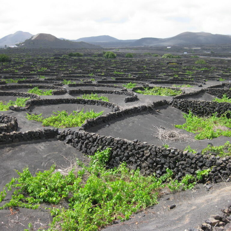 16. Lanzarote, La Geria, vallée viticole