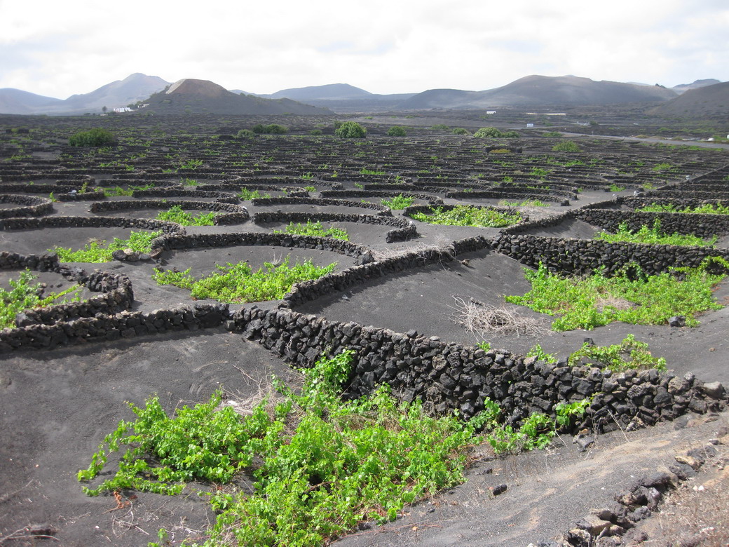 16. Lanzarote, La Geria, vallée viticole