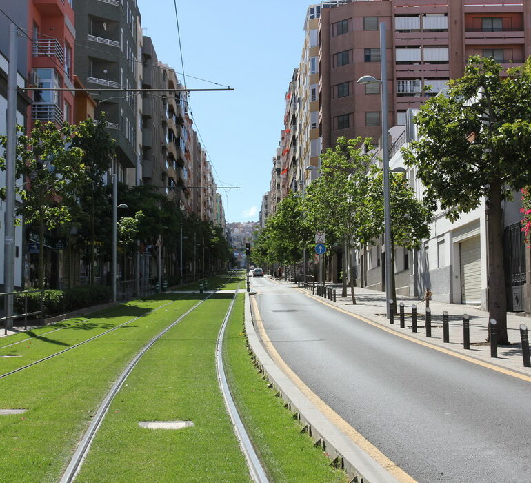 25. Santa Cruz e Tenerife