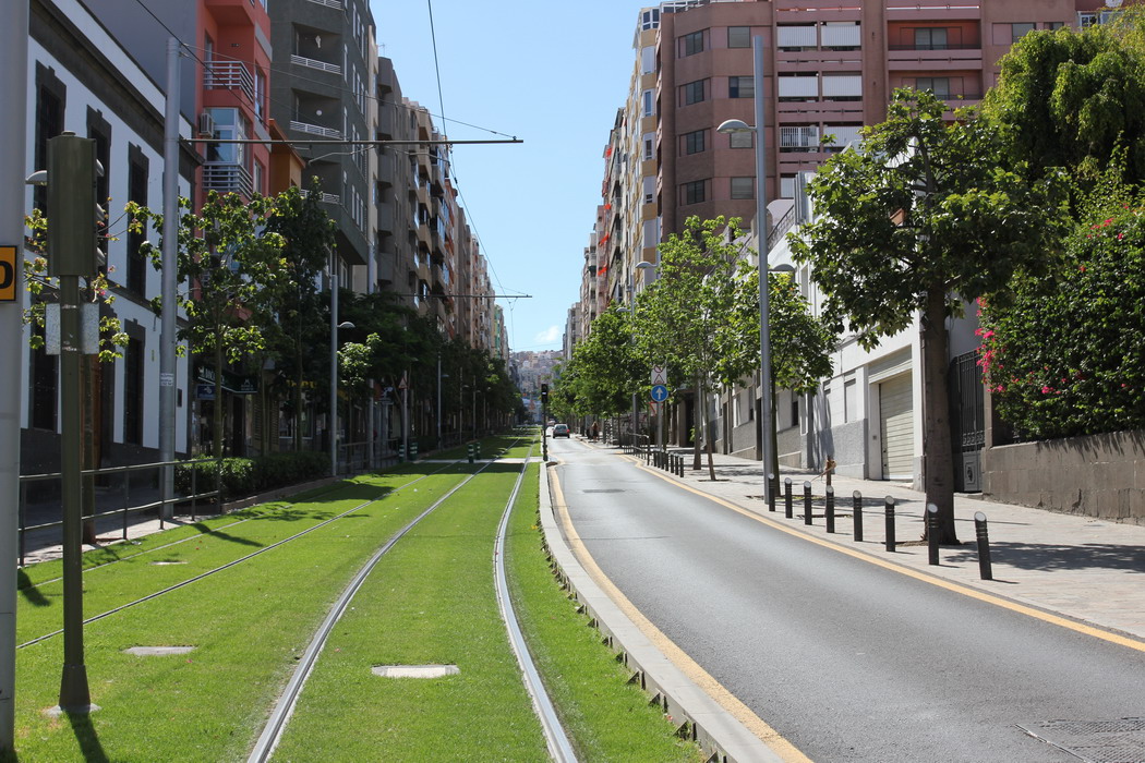 25. Santa Cruz e Tenerife