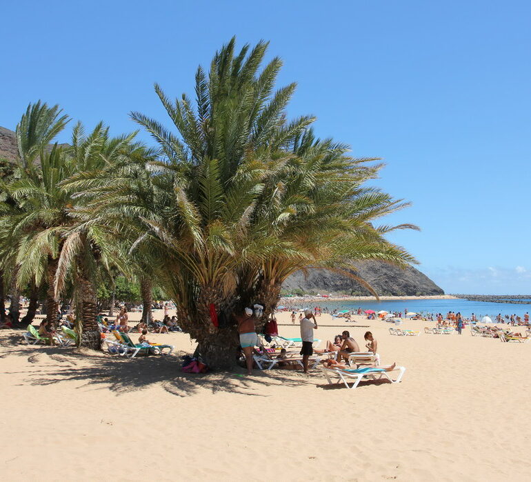 29. Tenerife au nord, plage de Las Teresitas