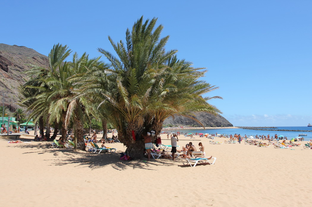 29. Tenerife au nord, plage de Las Teresitas