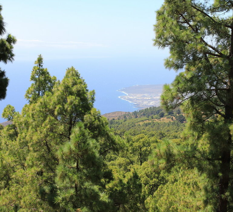 30. En montant vers le Teide