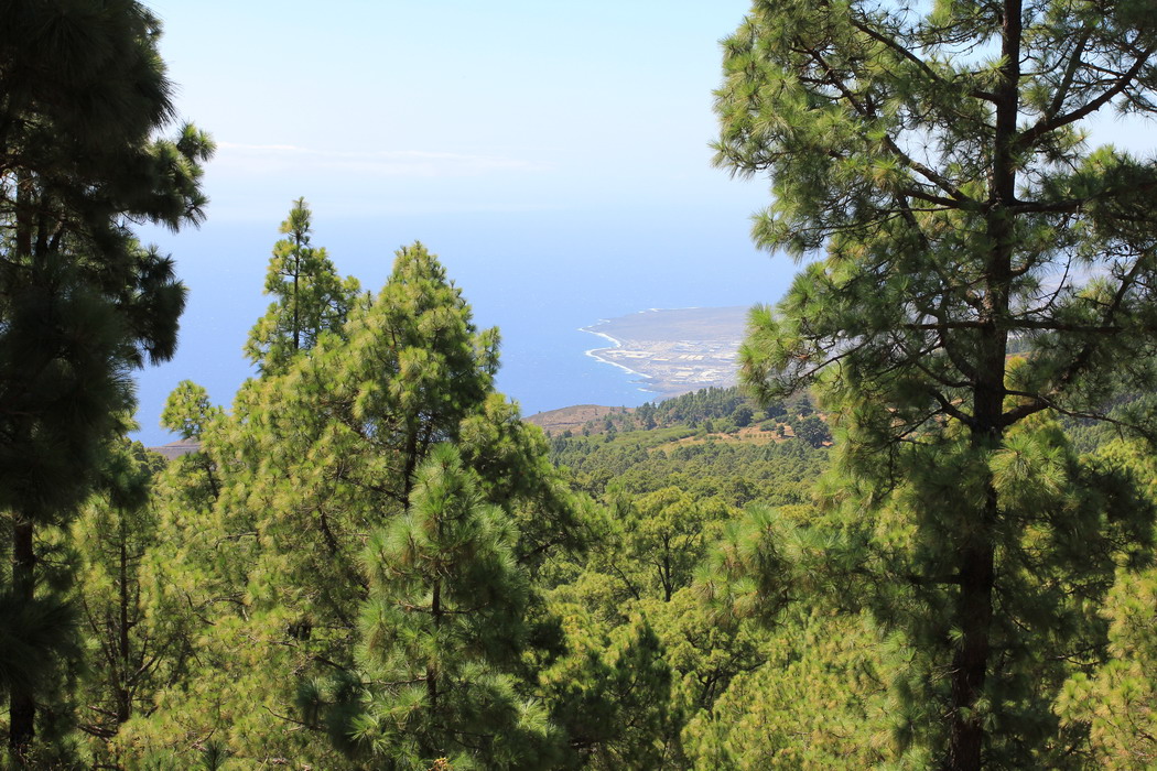 30. En montant vers le Teide