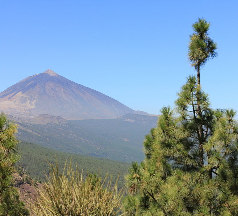 31. El Teide, 3718 m, le plus haut sommet d'Espagne
