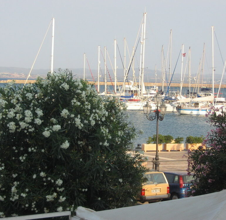 6. Marina de Carloforte