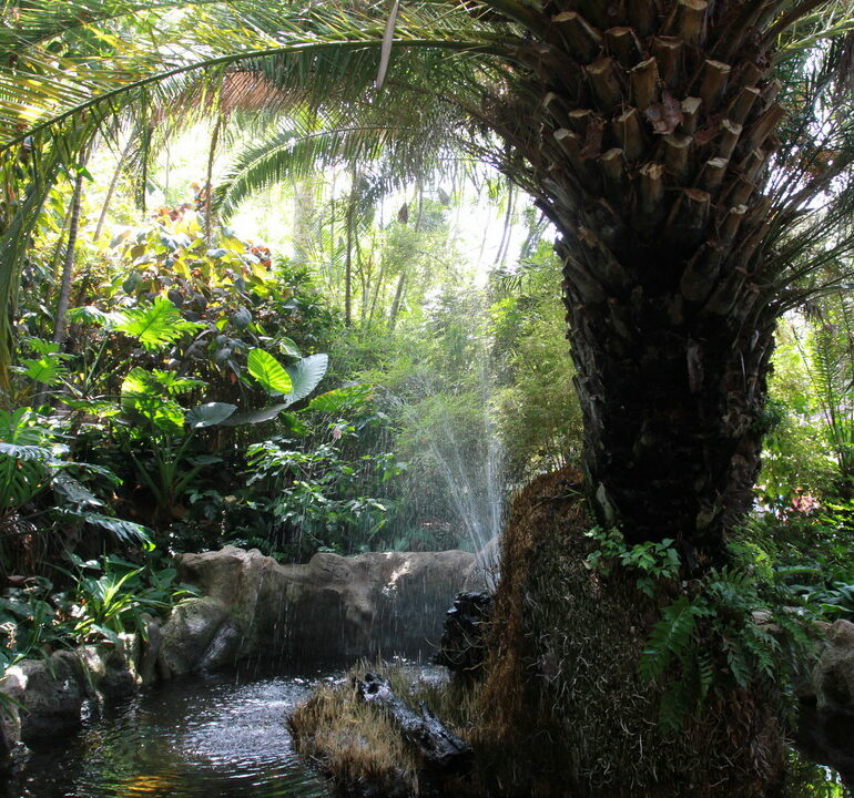 08. Tenerife, parc animalier de Loro