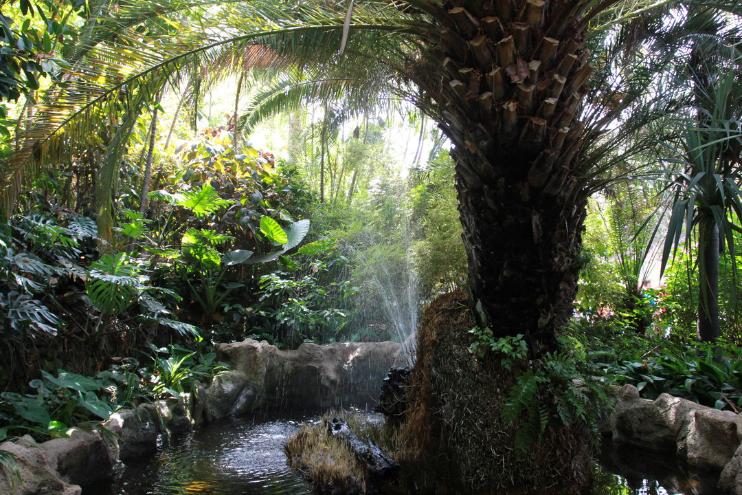 08. Tenerife, parc animalier de Loro