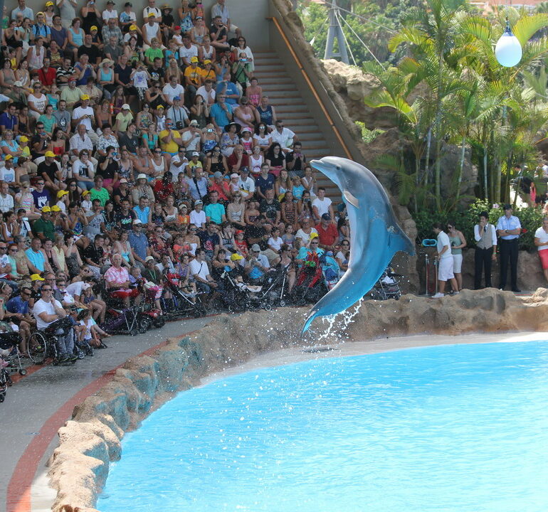 09. Tenerife, parc animalier de Loro