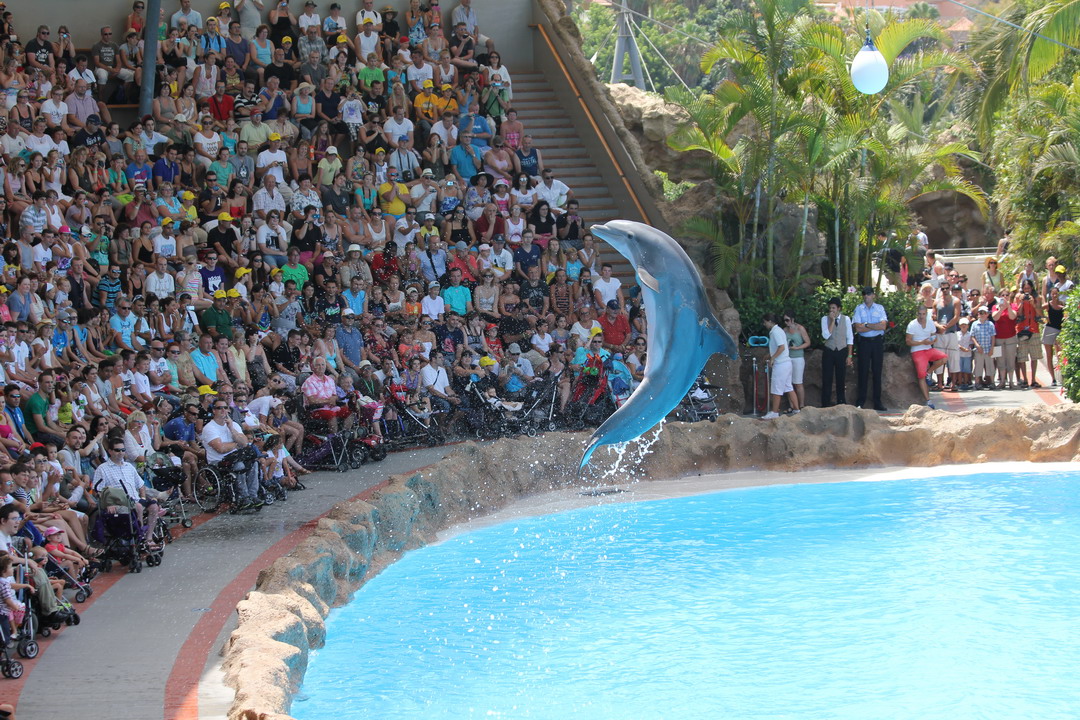 09. Tenerife, parc animalier de Loro