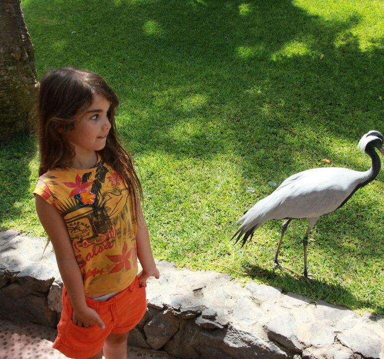 15. Tenerife, parc animalier de Loro