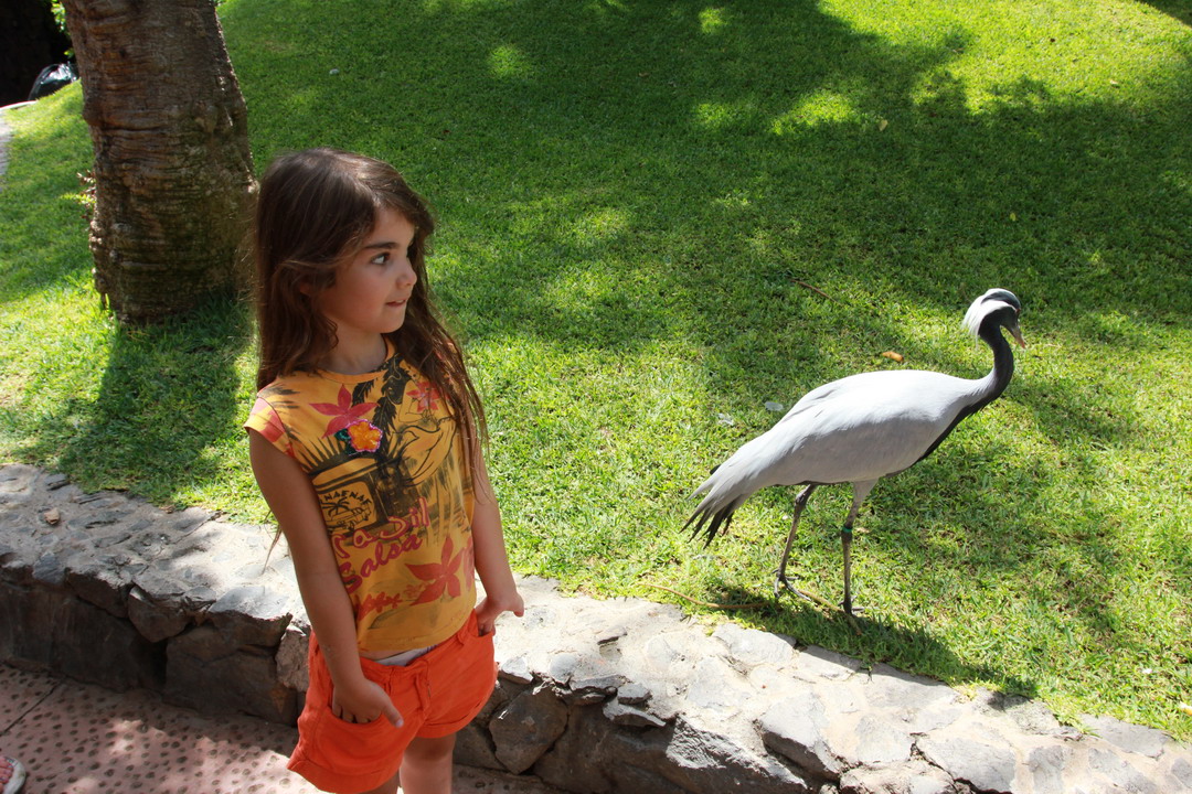 15. Tenerife, parc animalier de Loro