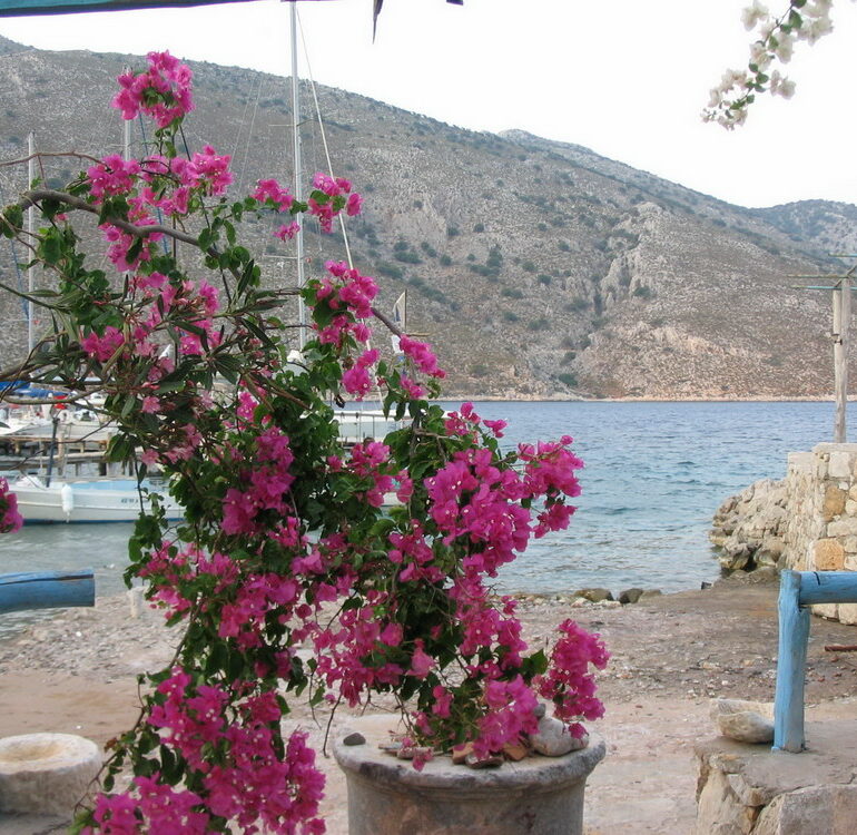 21. Restaurant de Bozuk bükü