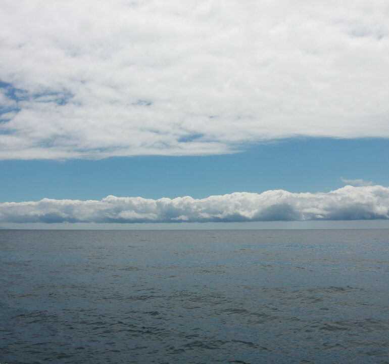 24. De l'île de la Gomera