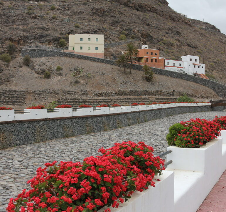 28. La Gomera, Santiago, lit de la rivière