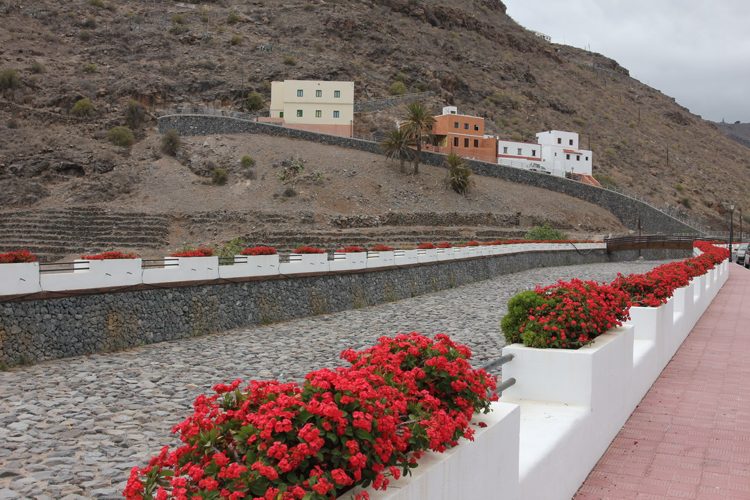 28. La Gomera, Santiago, lit de la rivière