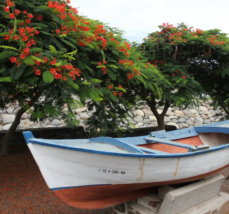 29. La Gomera, Santiago
