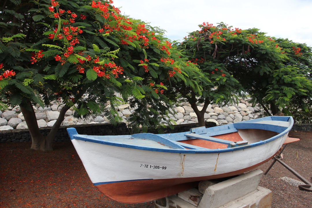 29. La Gomera, Santiago