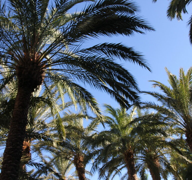 31. La Gomera, Santiago