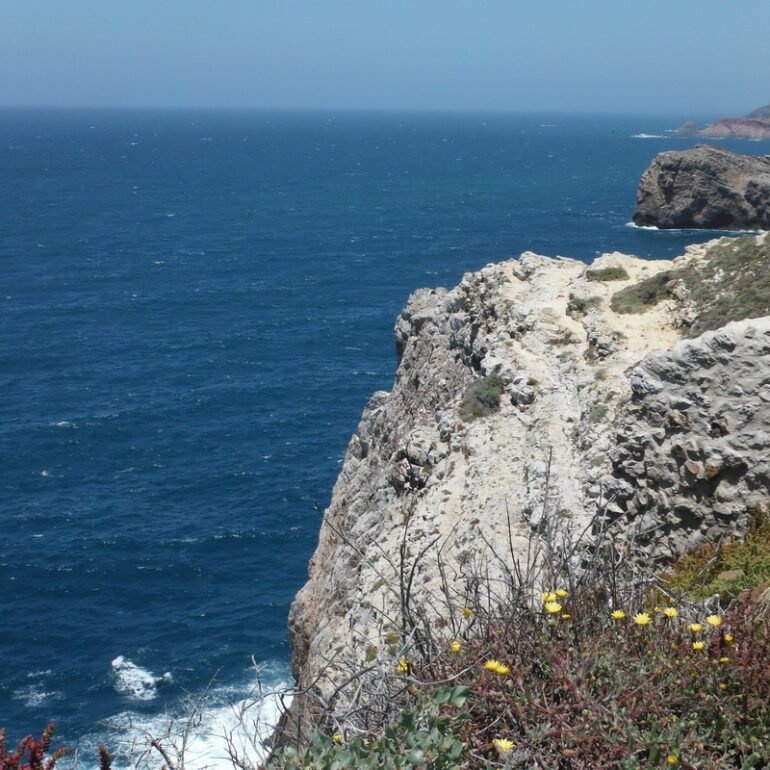 35. Cap St Vincent, l'alizé souffle