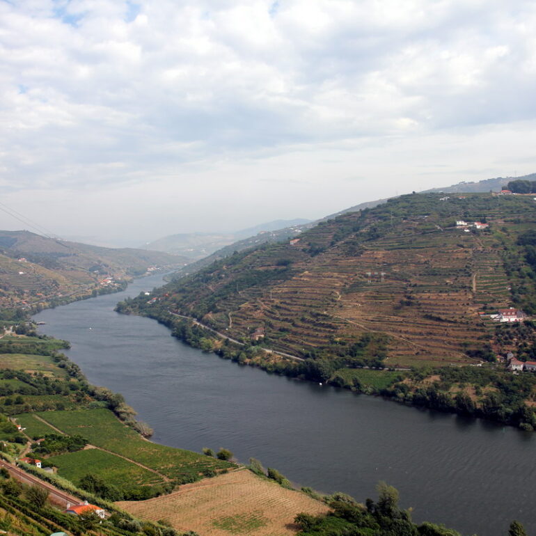 36. Vallée du Douro et vignes