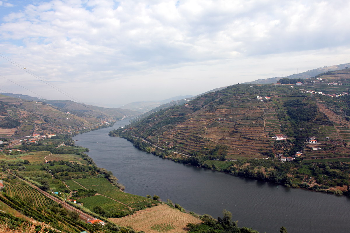 36. Vallée du Douro et vignes