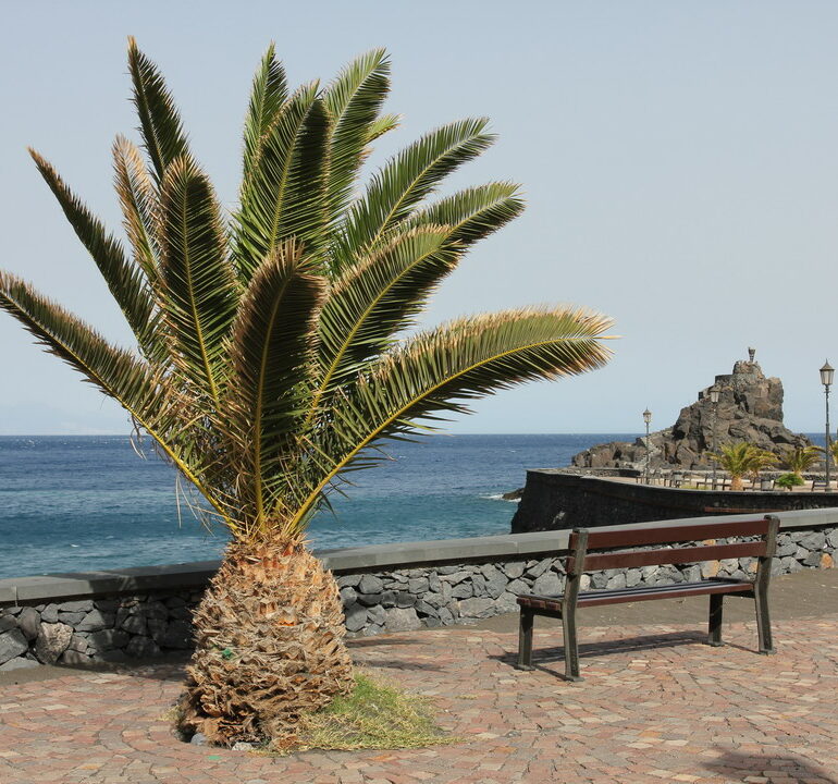 38. La Gomera, San Sebastian