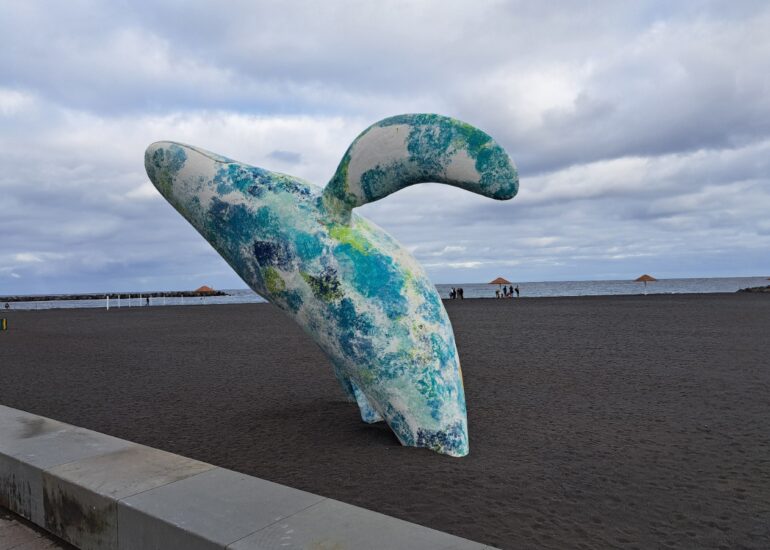 10. Santa Cruz de La Palma, Whale sculpture sur la plage